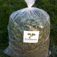 Hoja de stevia 100 kg